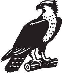 eagle on a white background vector, eagle logo silhouette vector