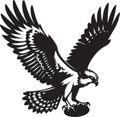 Obraz premium eagle on a white background vector, eagle logo silhouette vector