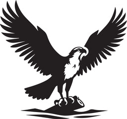 Obraz premium eagle on a white background vector, eagle logo silhouette vector