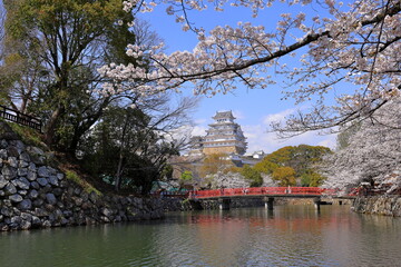 Naklejka premium Himeji Castle with cherry blossoms an Iconic castle dated to 1333 at Honmachi, Himeji, Hyogo, Japan 