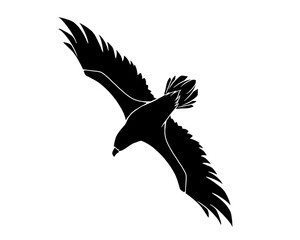 翼を広げて飛ぶ鷲の白黒イラスト（白フチあり）