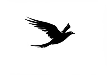 Obraz premium Silhouette of a flying bird image
