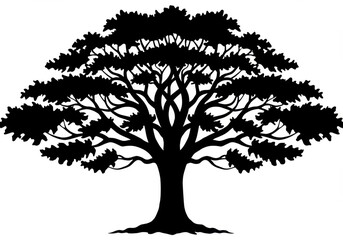 Silhouette of a deciduous tree