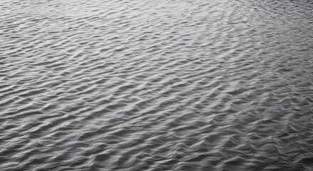 Fototapeta premium Gentle Ripples Create A Serene And Abstract Water Surface Texture