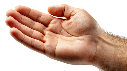 Open Hand Gesturing: A close-up shot of a hand, palm open and inviting, suggesting an offer of assistance or a gesture of welcome.