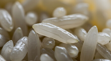 Heap Of Uncooked Rice Grains In Macro Shot With Detailed Texture