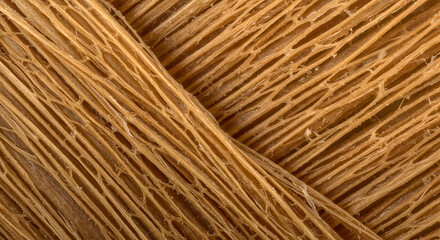Abstract Pattern Formed By Plant Fiber Natural Composition Close Up View