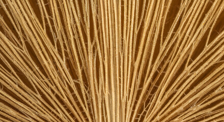 Obraz premium Converging Parallel Lines Creating a Visually Intriguing Abstract Golden Brown Pattern