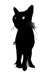 A silhouette of a cat