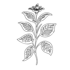 Elegant floral line drawing showcasing botanical simplicity and graceful form