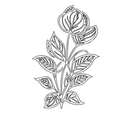 Elegant floral line art depicting a stylized botanical composition on white