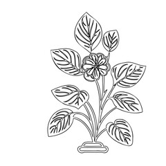 Elegant botanical outline depicting a stylized plant with detailed leaf venation
