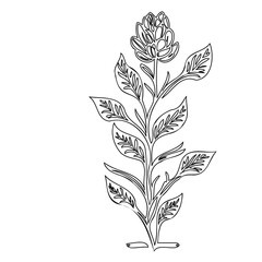 Elegant botanical line art illustration with blooming flower and foliage