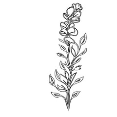 Elegant botanical illustration featuring stylized foliage on a white canvas
