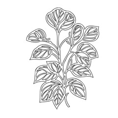 Elegant Botanical Outline: A Detailed Leafy Branch for Creative Applications