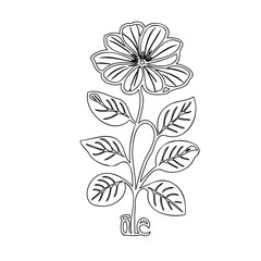Elegant minimalist line art of a delicate flower and leaves on a slender stem