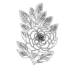 Elegant floral contour illustration, delicate botanical artwork on white backdrop