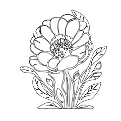 Monochrome Floral Illustration: A Detailed Line Drawing of a Blooming Flower