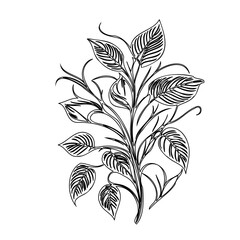 Elegant floral composition displaying leaf outlines against a plain backdrop