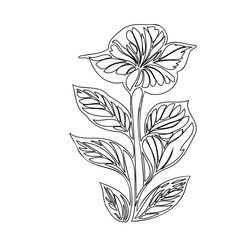 Minimalist floral drawing featuring a unique botanical sketch with stylized leaves