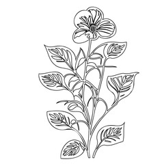 Elegant monochrome floral design featuring delicate petals and intricate leaf venation