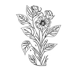 Elegant Floral Sketch: Detailed Botanical Illustration with Intricate Leaf and Blossom