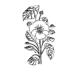 Elegant floral design featuring a delicate flower and intricate leaf patterns