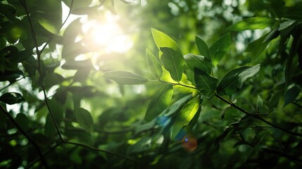 Sunlight filtering through lush green leaves creating enchanting natural atmosphere, with sun rays adding vibrant colors and depth to foliage, ideal for nature designs.