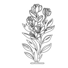 Delicate floral arrangement in monochrome linework, graceful botanical illustration