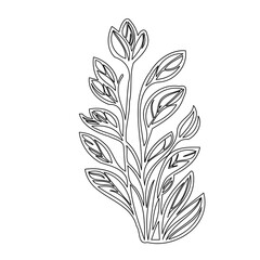 Elegant botanical drawing of floral sprout in subtle linear composition