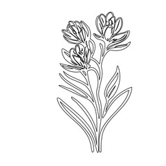 Elegant floral line art depicting a sprig of stylized flowers and foliage