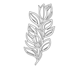 Botanical illustration of stylized leaves in a linear design with outlined pattern