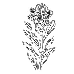 Line art depiction of a floral arrangement, emphasizing texture and botanical detail
