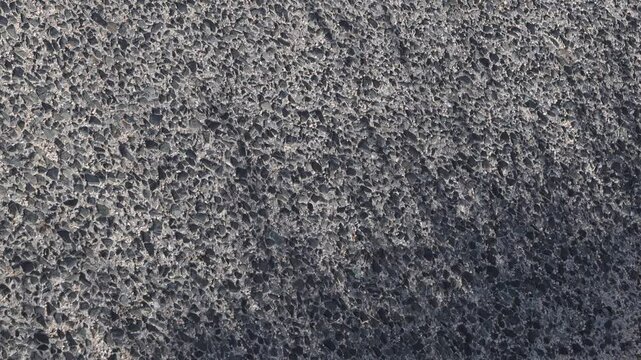 地面に映る草の影 5倍スローモーション