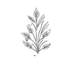 Minimalist botanical illustration depicting graceful foliage against a stark white backdrop