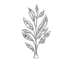 Elegant botanical sketch: Minimalist plant illustration in black and white outline