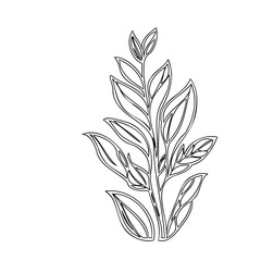 Botanical simplicity: Delicate monochrome branch showcasing minimalist aesthetic beauty