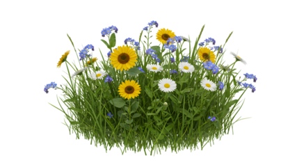 Wildflower Meadow with Daisies, Sunflowers, and Blue Flowers