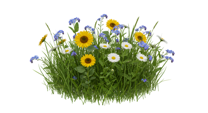Wildflower Meadow with Daisies, Sunflowers, and Blue Flowers