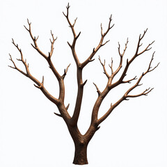 Fototapeta premium Dry twigs cluster, dead broken branches, natural tree textures, transparent background PNG