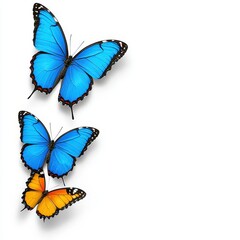 Obraz premium Two Blue and One Orange Butterfly on White Background
