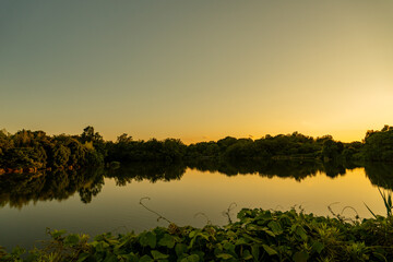 水面に映る樹木