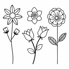 Different flower set line art on white background.