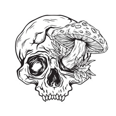 illustration art black and white hand drwan skull with mushroom on side eye tatoo and t-shirt design