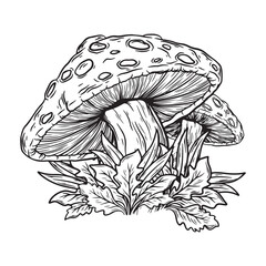 illustration art hand drawn black and white wild mushroom and leaf tatoo and t-shirt design
