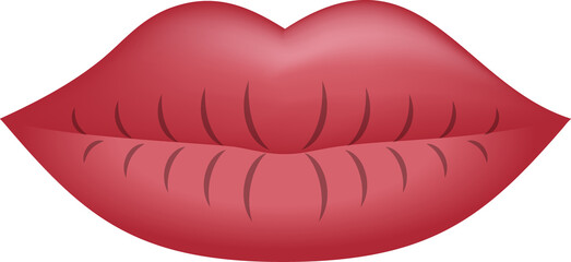 갈라진 건조한 입술