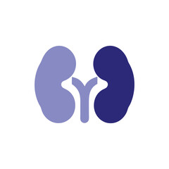 Fototapeta premium Human Kidneys Icon Medical Illustration, Healthcare Symbol