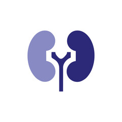 Kidney Icon Medical, Health, Organ, Anatomy Symbol