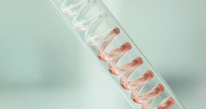 Liquid flows smoothly through transparent spiral tube of condenser. Fluid moves in continuous stream under controlled laboratory conditions