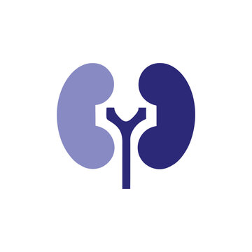 recommend clip art: Kidney Icon Medical, Health, Organ, Anatomy Symbol